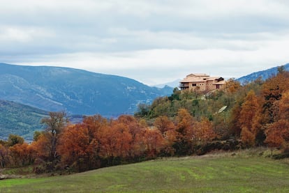 La Granja Santa Gadea vive inmersa en el bosque repoblado que le sirve para consumir menos CO2 del que emite a la atmósfera.