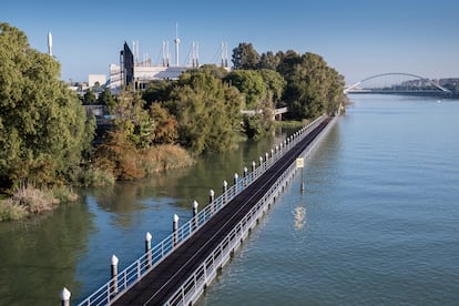 Paseo junto al Jardín Botánico Americano y el río Guadalquivir.