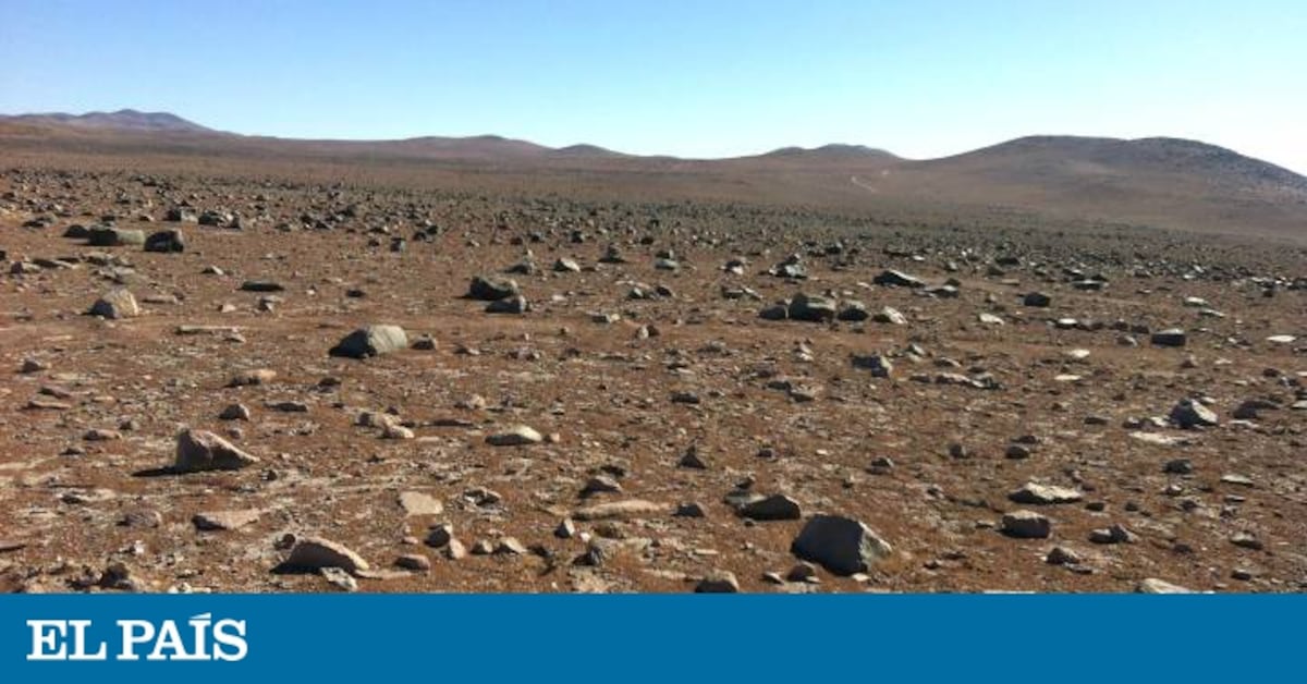 Desierto de Atacama: En el lugar más seco del mundo también hay vida ...