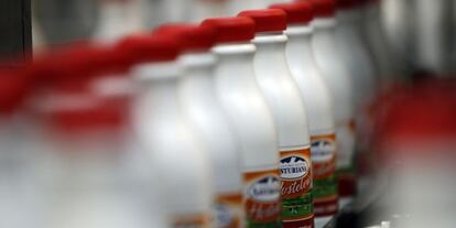 Botellas de leche en la cadena de producción de la fábrica de Central Lechera Asturiana, en Asturias.