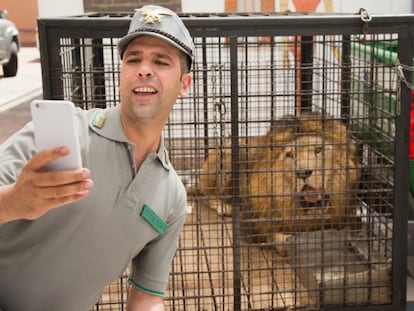 Checco Zalone, en un fotograma de 'Quo vado?'.