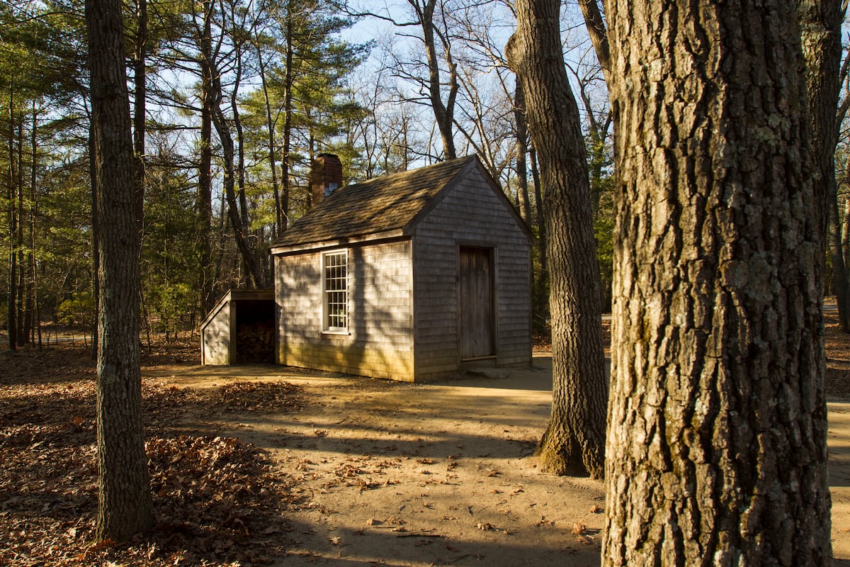 Casas modulares de cabaña: ahorre espacio y reduzca costos, image size:1200x800