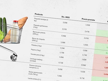 Legumbres, verduras, leche y pan más baratos: cuánto ha caído el precio de 13 productos básicos en cada supermercado con la bajada del IVA