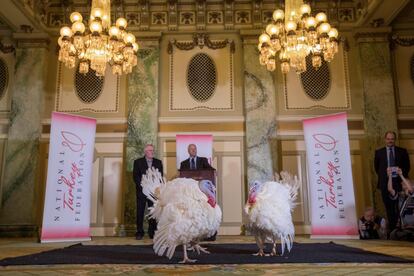 Empleados de la Federación Nacional del Pavo y del hotel Willard InterContinental presentan a los pavos ''Guisantes' y ''Zanahorias'', antes del indulto correspondiente al Día de Acción de Gracias.