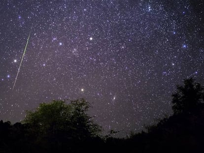 Leónidas 2019: dónde y cuándo ver la lluvia de estrellas de noviembre