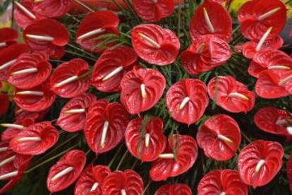 Detalle durante el Madeira Flower Festival.