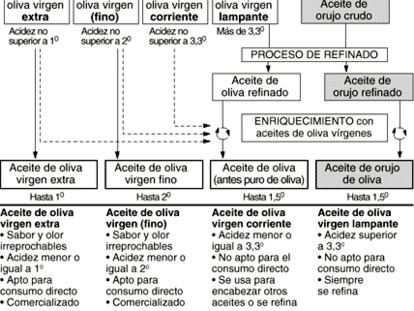 Proceso de producción del aceite