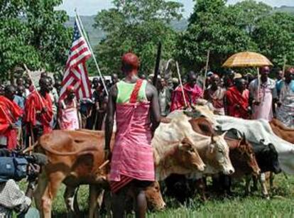 Varios massai ofrecen en Enoosaen (Kenia) 14 vacas a diplomáticos de EE UU para conmemorar los ataques del 11-S.