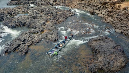 Na Volta Grande do Xingu, região mais afetada pela hidrelétrica de Belo Monte, a escassez de água tem causado a morte massiva de peixes, provocado insegurança alimentar de indígenas e ribeirinhos e impedido a mobilidade da população.