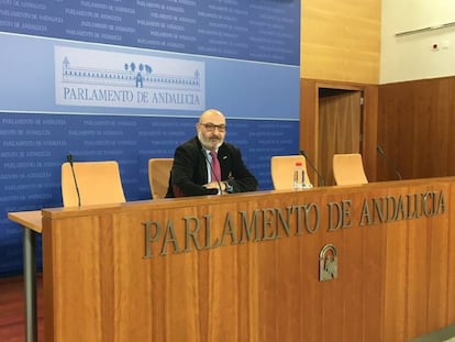 El portavoz parlamentario de Vox, Alejandro Hernández.