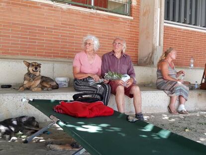 Julie y Kent con sus perros. 