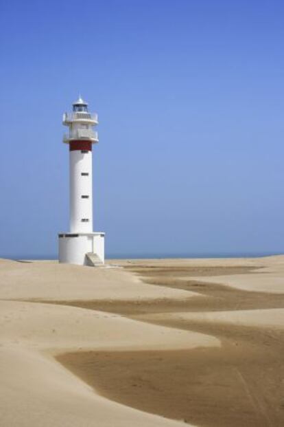 Punta del Fangar, en el delta del Ebro (Tarragona).