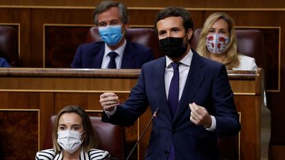 Leader of the Popular Party (PP), Pablo Casado, in Congress on Wednesday.