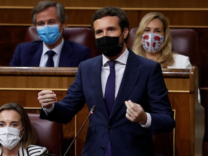 El líder del PP, Pablo Casado, interviene durante la sesión de control del Congreso celebrada este miércoles.