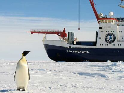 El rompehielos alemán <i>Polarstern</i> en la Antártida.