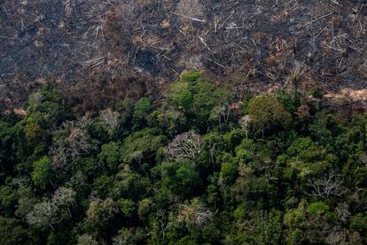 El estado del Amazonas, en la frontera con Acre, después de que un incendio haya consumido parte del área del Proyecto Forestal Estatal Antimary, el primer bosque público estatal, donde se realizan actividades de manejo sostenible. El 16 de febrero de 2023.