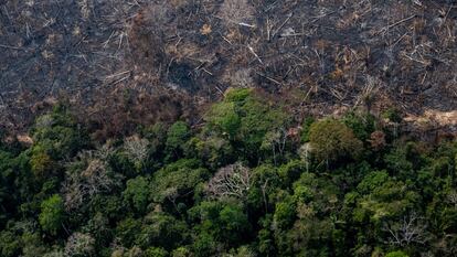 El estado del Amazonas, en la frontera con Acre, después de que un incendio haya consumido parte del área del Proyecto Forestal Estatal Antimary, el primer bosque público estatal, donde se realizan actividades de manejo sostenible. El 16 de febrero de 2023.