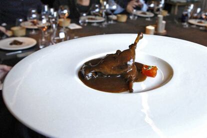 Imatge d'un plat de cega, la reina de les aus de caça.