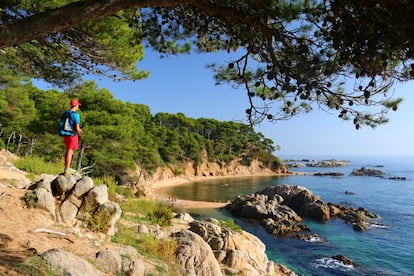 <b>CALA ESTRETA</b> (Palamós). Es troba envoltada de pins i penya-segats i un gran escull central fa que tingui forma de mitja lluna. Està en ple espai d’interès natural del castell de Cap Roig i un dels seus atractius és un barraca de pescadors datada al segle XVI i recuperada el segle passat, en un dels seus extrems. Fa uns 35 metres de llarg i 10 d’ample i s’hi ha d’arribar a peu, després d’aparcar al pàrquing de la platja del Castell.