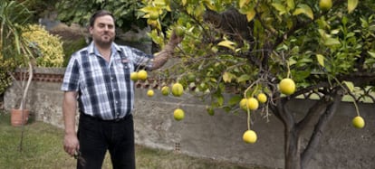 El presidente de ERC, en su huerto.