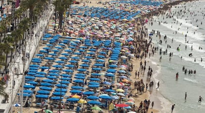 Imagen de Playa de Benidorm.