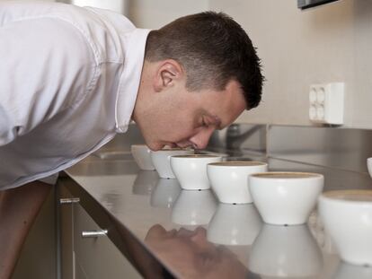 El campeón del mundo de los cafés de 2004, Tim Wendelboe, analiza el aroma de diferentes tazas.