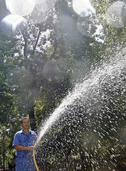 Un jardinero municipal riega las plantas en el Retiro.