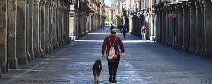 Un hombre pasea a su perro por una de las calles más comerciales de Alcalá de Henares (Madrid), ahora casi desierta.