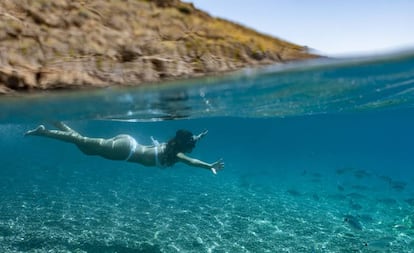 El catálogo de experiencias que ofrece la Región de Murcia se adapta a todos los perfiles y edades. Las actividades acuáticas, como el buceo, son protagonistas, especialmente en estas fechas.