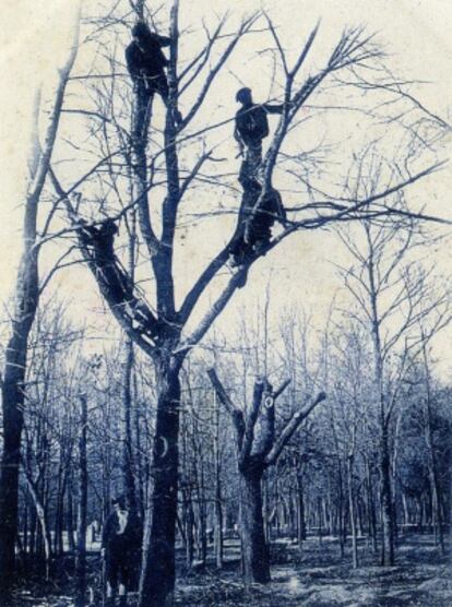 Fotografía del libro Tarjetas Postales Ilustradas en Madrid 1887-1905.