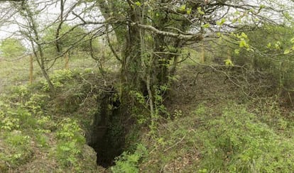 Boca de la Sima de Legarrea cerca de  Gaztelu donde supuestamente fueron arrojados varios componentes de la familia Sagardia en 1936. 