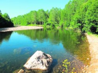 El r&iacute;o &Oacute;rbigo, en Le&oacute;n, tras los trabajos de recuperaci&oacute;n.