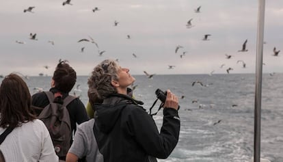 Observadores de aves en una salida al mar del festival. DBF