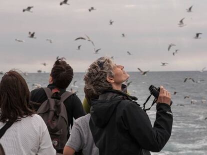 Observadors de l'edició d'enguany del Delta Birding Festival.