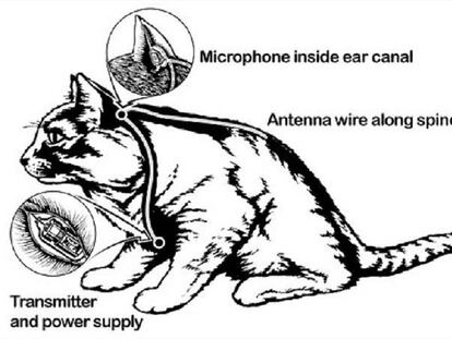 Diagrama del gato espía perfecto.