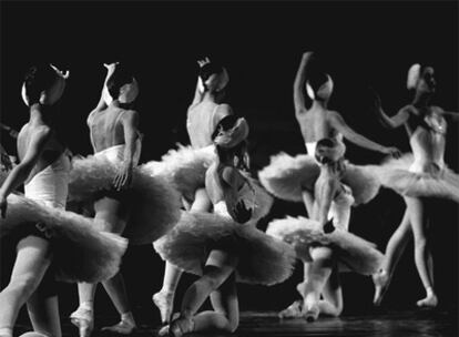 Segundo acto de <i>El lago de los cisnes</i>, del Ballet Nacional Clásico, en 1985.