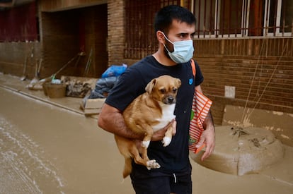 Un hombre sostiene a un perro mientras camina por una calle embarrada en Massanassa, Valencia