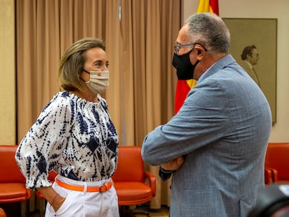 Cuca Gamarra (PP) habla con el diputado de Vox Juan Luis Steegman durante la Diputación Permanente del Congreso en Madrid en verano de 2020.