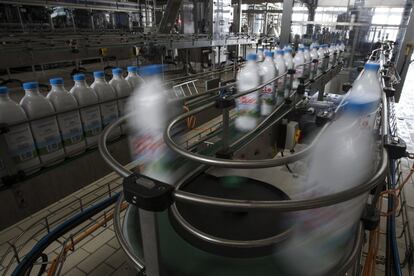 Proceso de embotellado de la leche en la fábrica de de Leche Rio en Lugo.