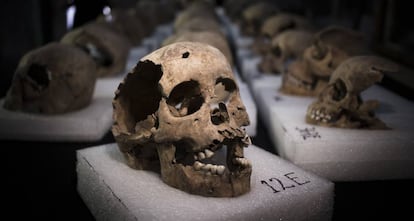 Huesos hallados en las excavaciones del antiguo Templo Mayor de Tenochtitlan, en México.