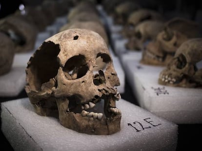 Huesos hallados en las excavaciones del antiguo Templo Mayor de Tenochtitlan, en México.