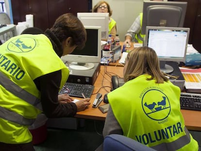 Voluntarios en la oficinas del Colegio de San Fernando de Madrid.