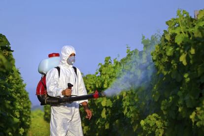 Un trabajador fumiga un viñedo