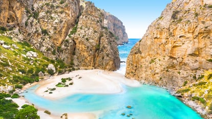 Subir a este barranco que atraviesa la sierra de Tramontana no es precisamente coser y cantar. Pero lo cierto es que este andar trepando por roquedos se ve recompensado cuando por fin descubres ante ti la playa y aparece entre las peñas el mar Mediterráneo. En verano, el  Torrent de Pareis  está muy transitado por excursionistas que descienden el barranco saliendo desde Escorca para llegar hasta Sa Calobra y su famosa playa.