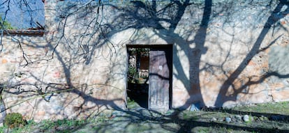 En el huerto de San Vicente, Segovia, 2011.