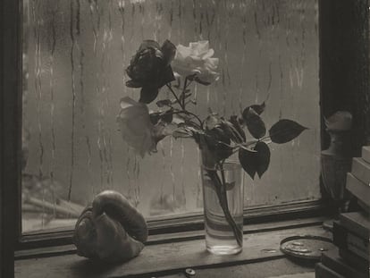 La última rosa, 1956