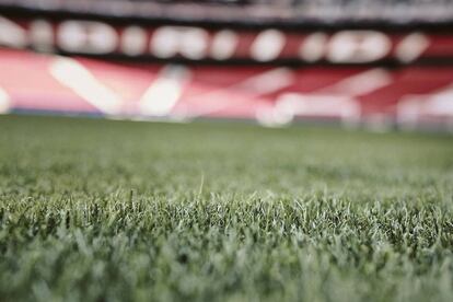 Detalle del terreno del estadio Wanda Metropolitano.