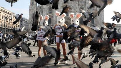 IMÁGENES DEL DÍA. Activistas de la organización animalista PETA participan en una protesta contra la explotación cunícola durante la Semana de la Moda de Milán, ante el Duomo en Milán (Italia).