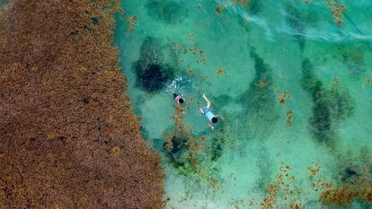 Turistas nadan en Playa del Carmen, Quintana Roo (México), en mayo de 2019.