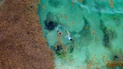Turistas nadan en Playa del Carmen, Quintana Roo (México), en mayo de 2019.